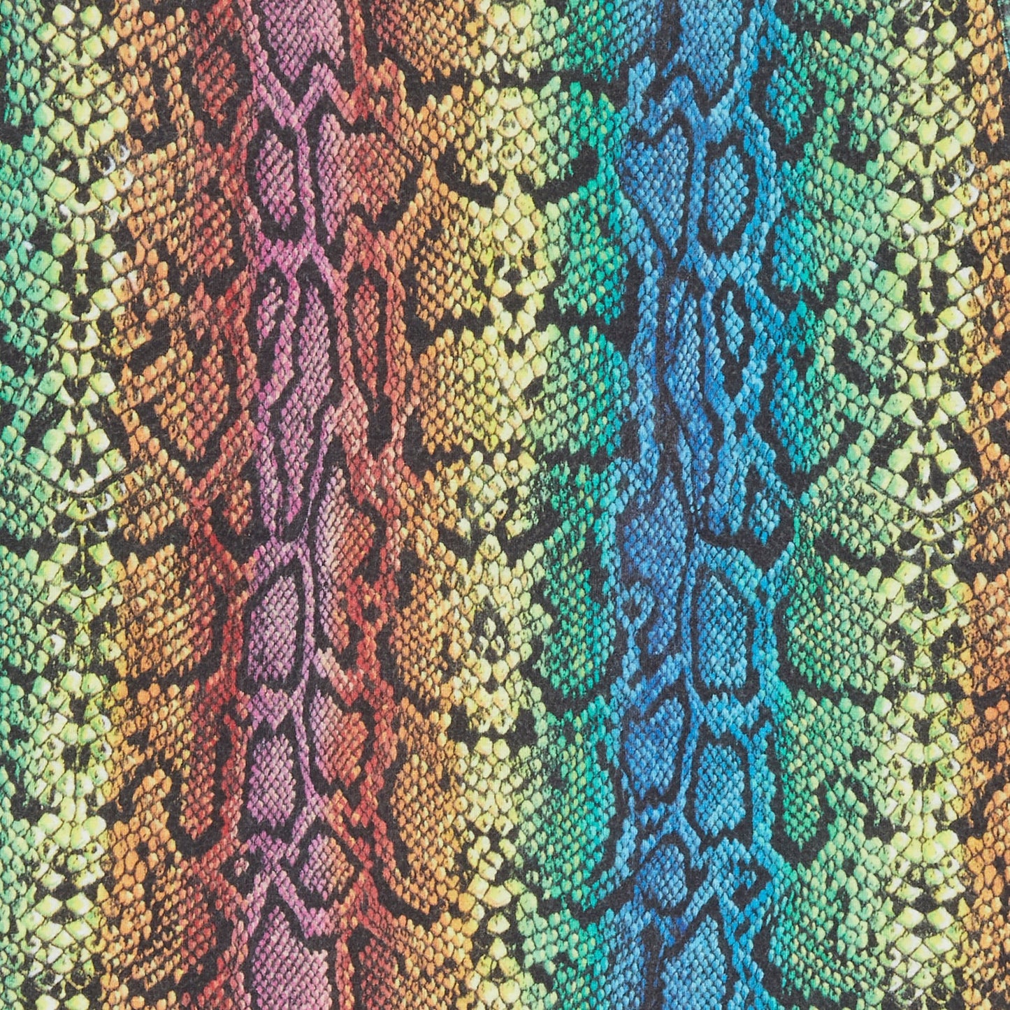 Raf Simons Spring / Summer 1998 Rainbow Snake Print Tank