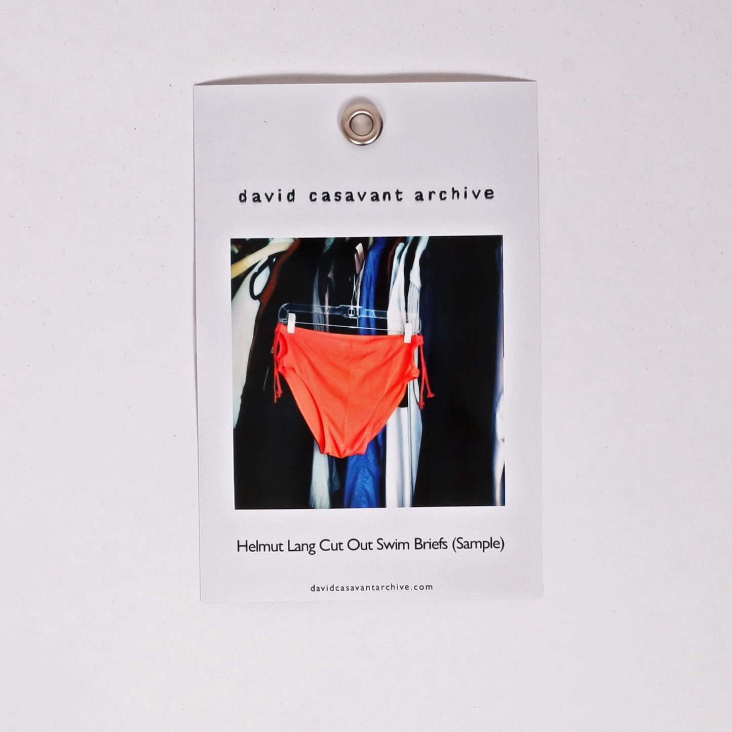 Helmut Lang Cut Out Swim Briefs (Sample)